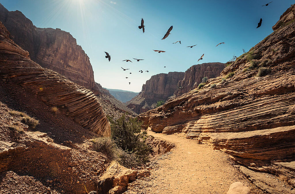 The canyon trail bathed in sunlight showcases the rock formations and a flock of birds gliding above it all. Reminiscent of the trek, to Embercliff.